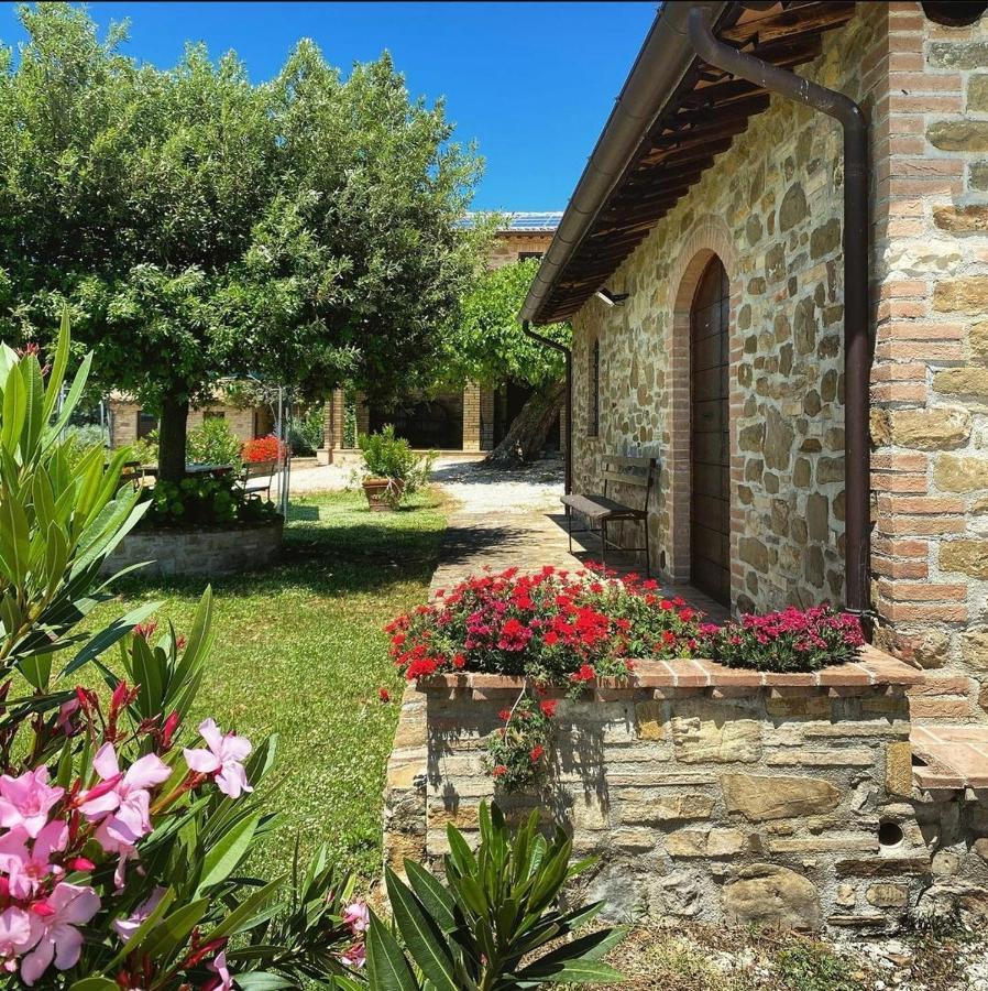 Agriturismo Il Cicaleto Cannara