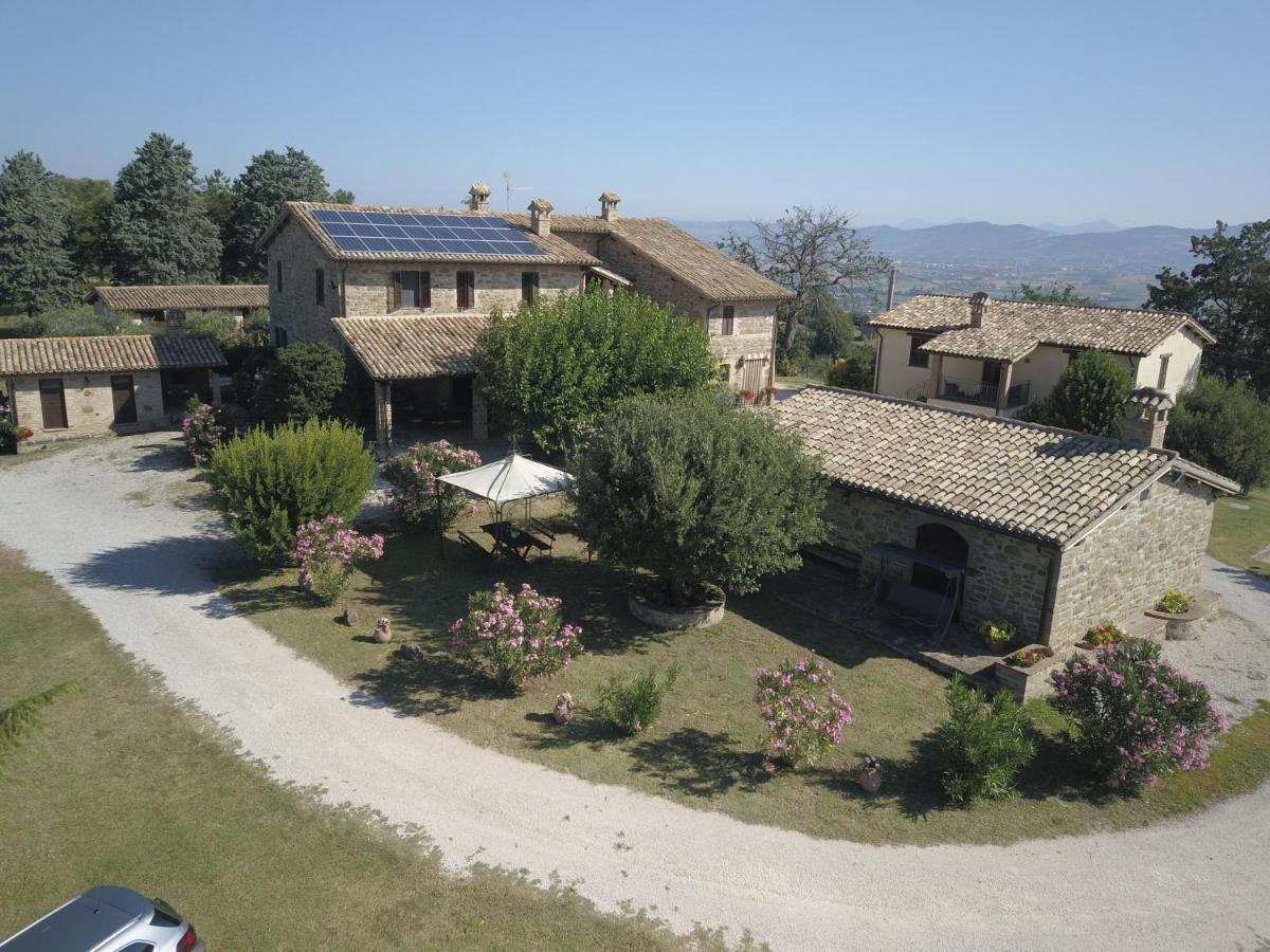 Vakantieboerderij Il Cicaleto Cannara